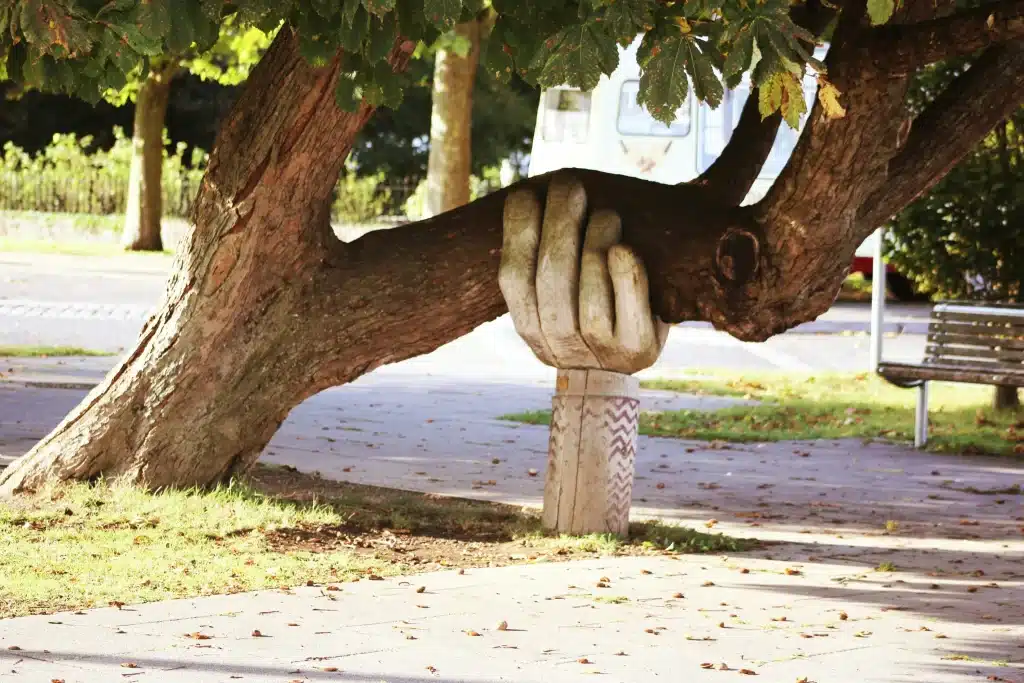 support for tree
