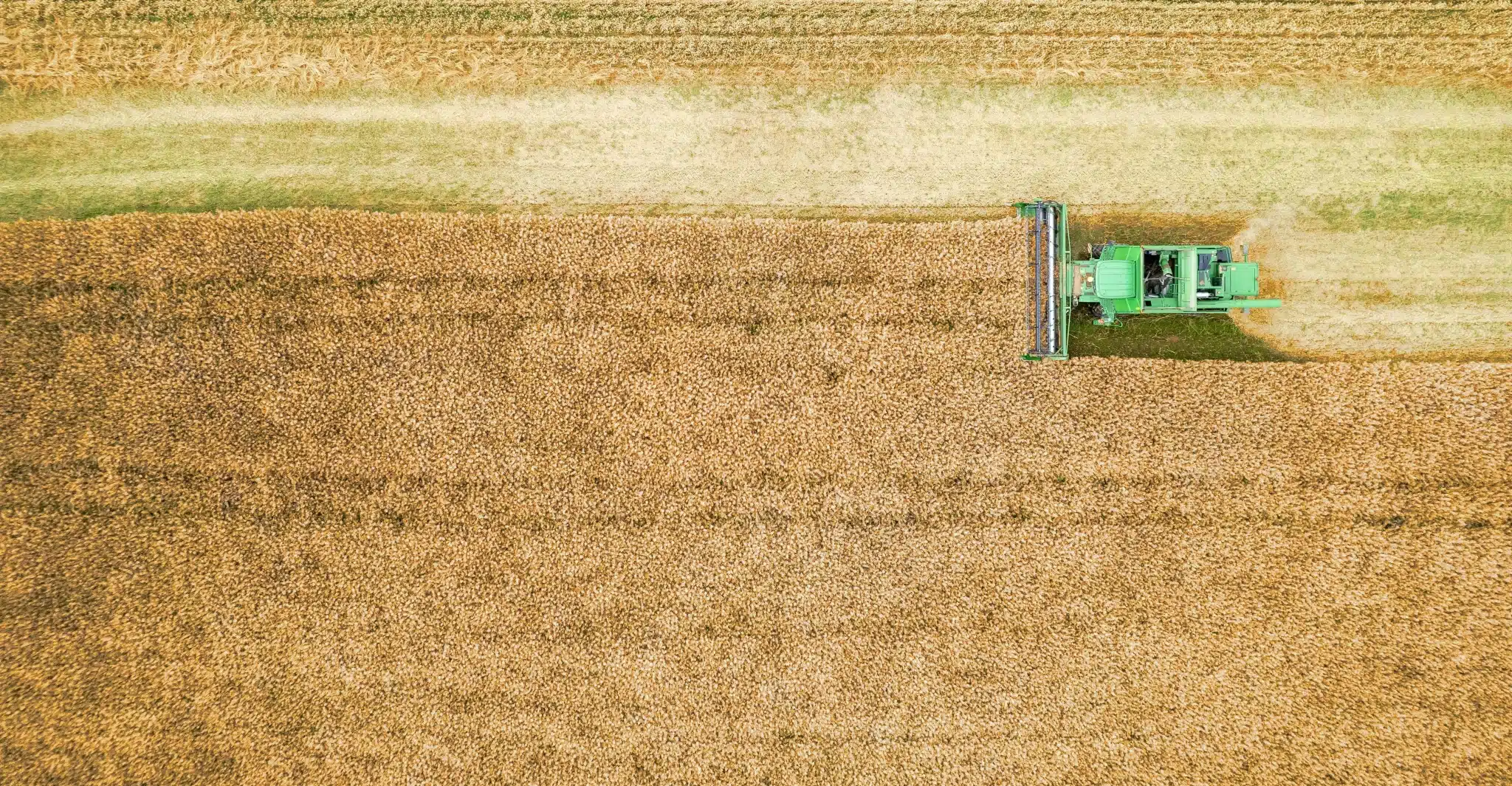 Agrochemicals and pesticides process safety agrochemicals-pesticides